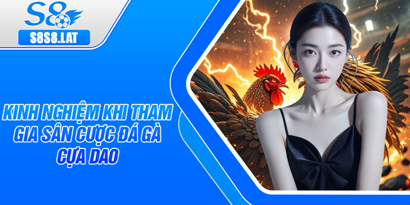 Kinh nghiệm khi tham gia sân cược đá gà cựa dao