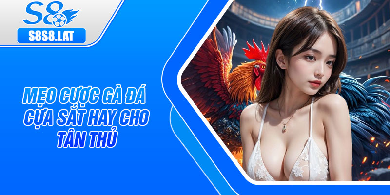 Mẹo cược gà đá cựa sắt hay cho tân thủ