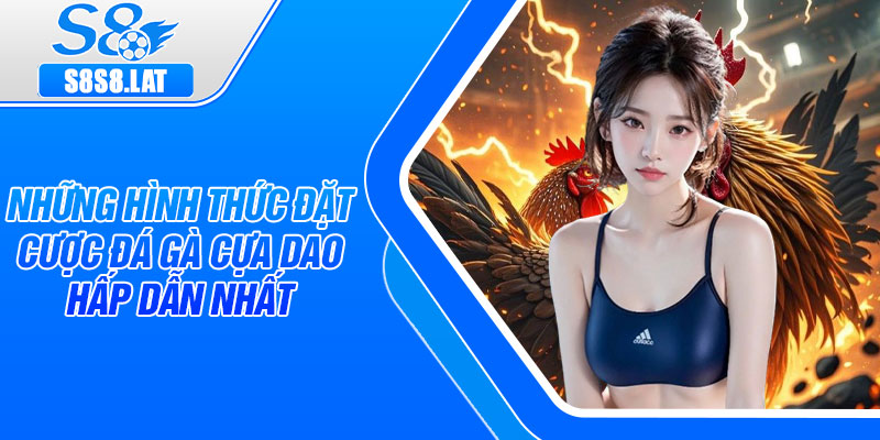 Những hình thức đặt cược đá gà cựa dao hấp dẫn nhất