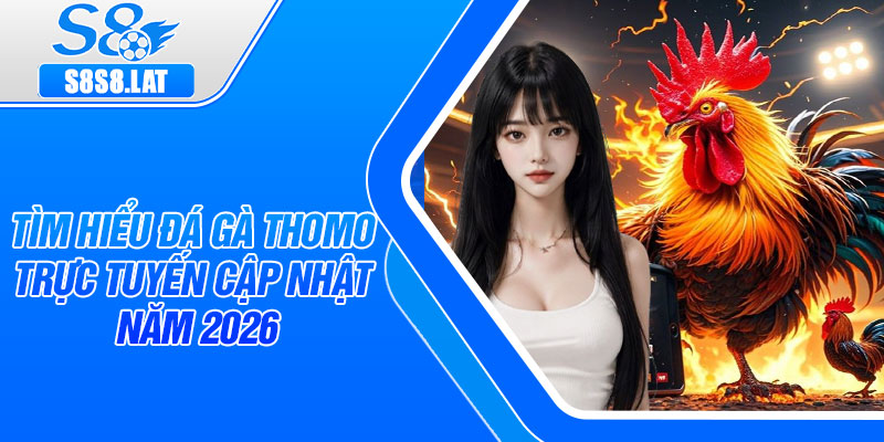 Tìm hiểu đá gà Thomo trực tuyến cập nhật năm 2026
