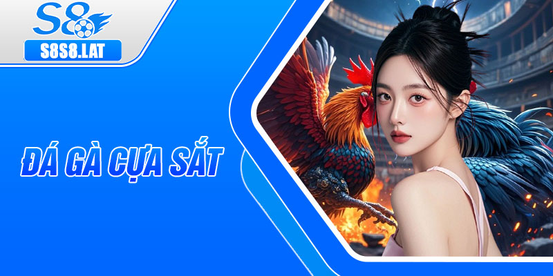 Da Ga Cua Sat